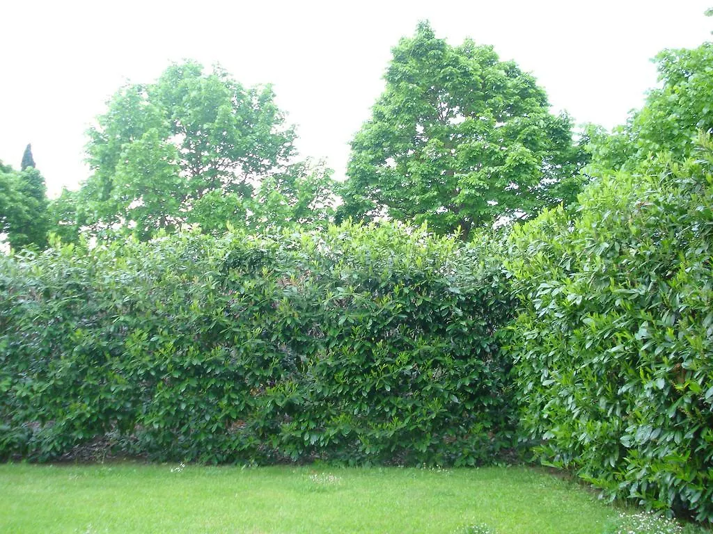 La Vigna Apartment Siena